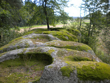 Naturdenkmal "Die fünf Brüder"