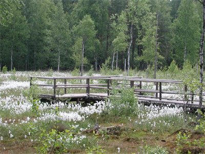 Naturpark Heidenreichstein