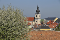 Stadtpfarrkirche Heidenreichstein